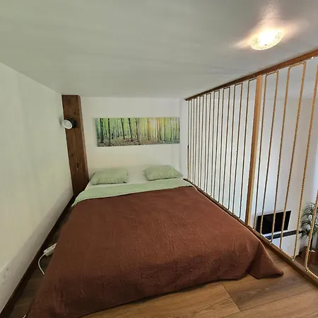 Apartament Zveju 84 *