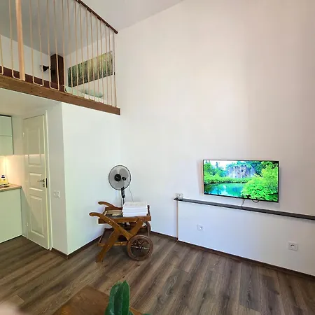 Zveju 84 Apartament *