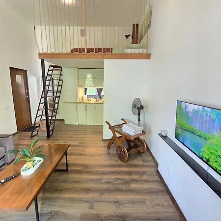 Apartment Loft Klaipeda